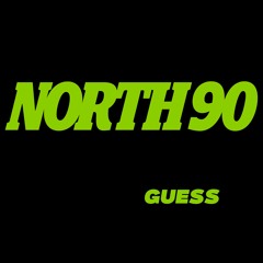 Charli XCX Guess - North 90 Club Version