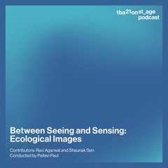 Between Seeing and Sensing: Ecological Images