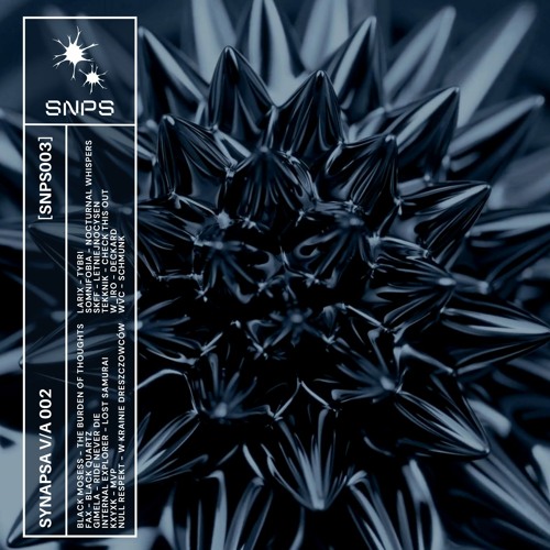 Tekknik - Check This Out [Synapsa]