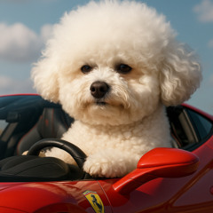 I Going Top