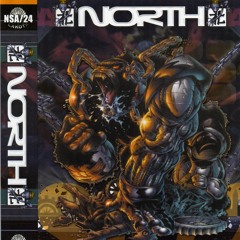 VORTEX--NORTH NSA - VOL 24