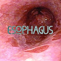 ESOPHAGUS: bfb taco 2 playlists