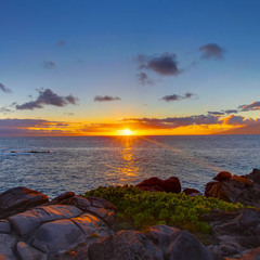 Sonic Session vol 999