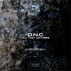 D.N.C - ALL THAT MATTERS (Original Mix)[II236S]