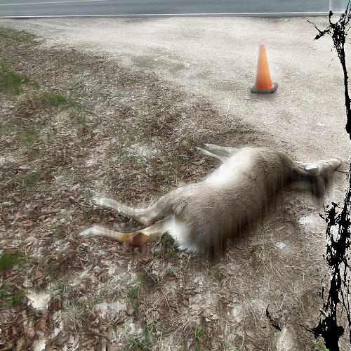 And Then the Day Came That it All Began Again