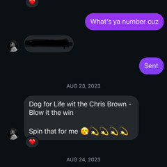 My Dogs Blow It In The Wind !!!