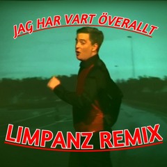 Nils Edvardsson - Jag Har Vart Överallt | Limpanz Remix