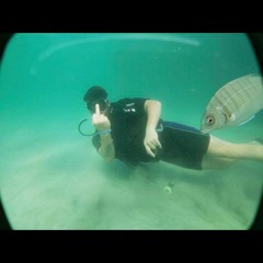 Livingroom Day Time Set