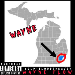 Wayne Flow