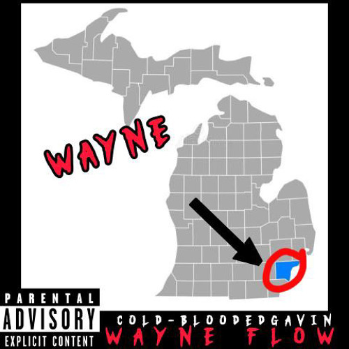 Wayne Flow