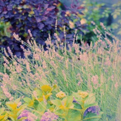 you might be sleeping