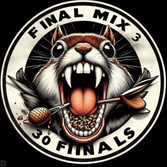 FINAL MIX 3