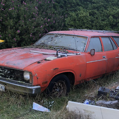 Carla Dal Forno 020724