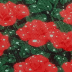 Anime Flowers (EP)