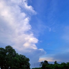 Về Triệu Sơn Chơi Đi Em