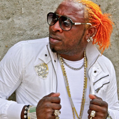 Elephant Man - Dj Sandro P Dubplate Pon di river