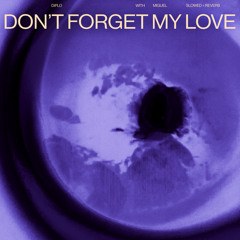 Diplo & Miguel - Don't Forget My Love (slowed + reverb)