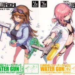 dual mac11