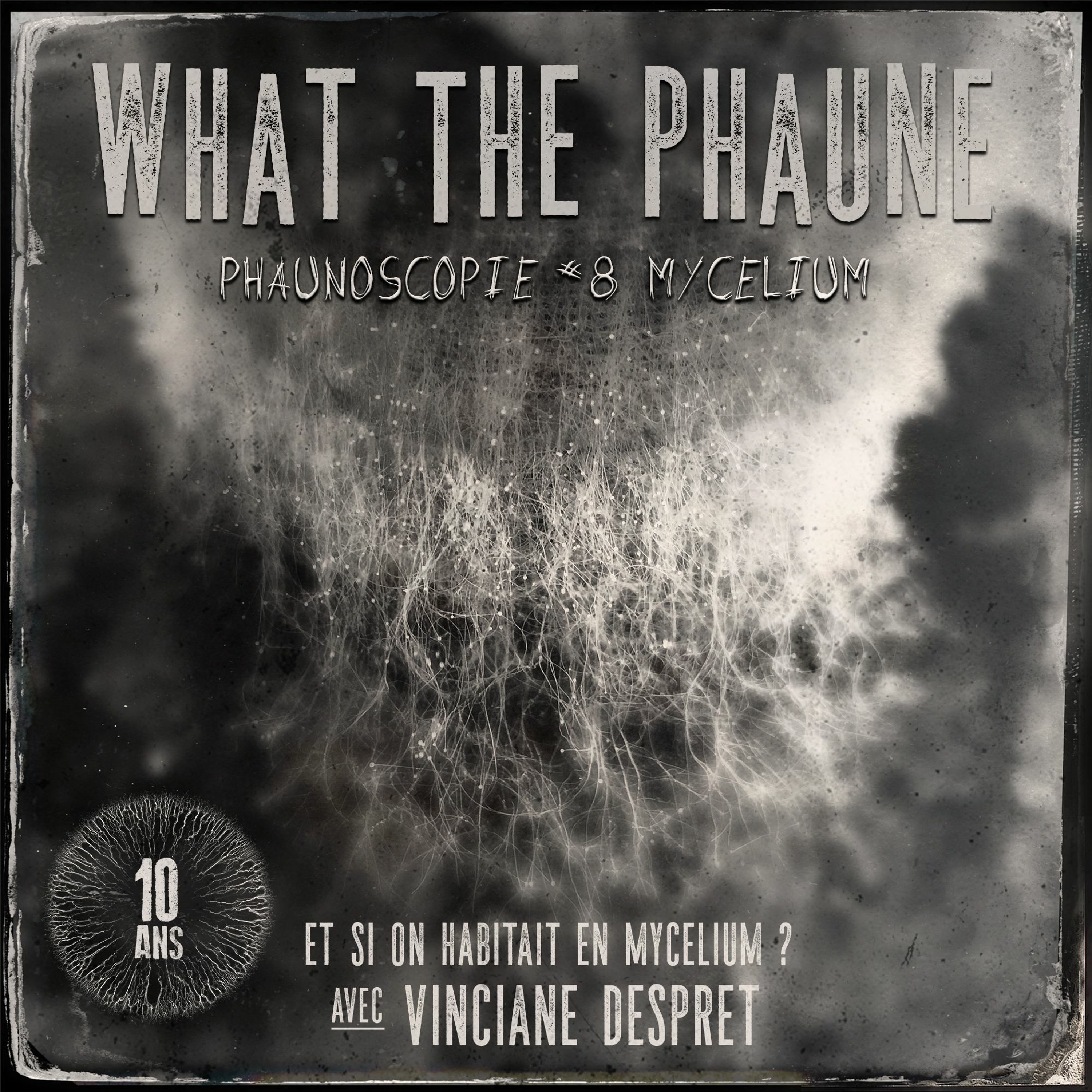 Phaune Radio