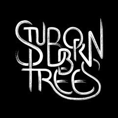 Phony Lights (Remastered 2021)