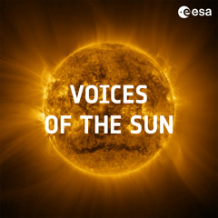 Sound of a Solar Storm: Radio Bursts from the Sun
