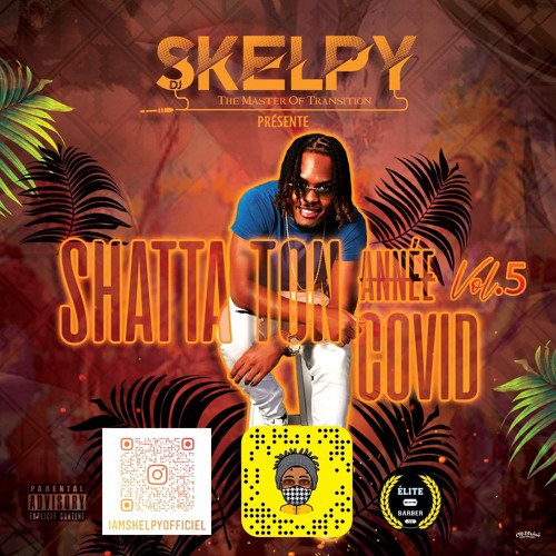 DJ SKELPY - SHATTA TON ANNEE VOL 5