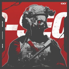 The Raid