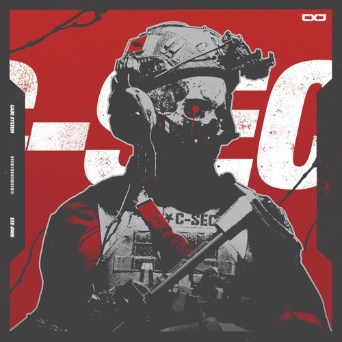 The Raid