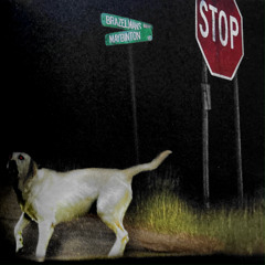 at least tom hanks had a volleyball [prod. ivy]