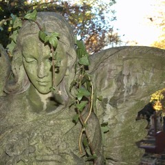 ivvyleague       (tenshi)