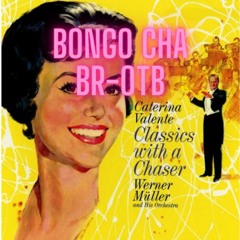 Bongo Cha Cha PARAVELLUM REMIX (FREE DOWNLOAD)