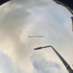 Dan Whitlam - Quick Intimacy
