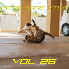 Pets Gone Wild Vol.26