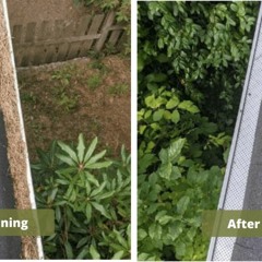 Tips For Gutter Cleaning In Vancouver That Will Save You Money
