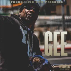 Young Gee Feat. Mitchy Slick - WYGD