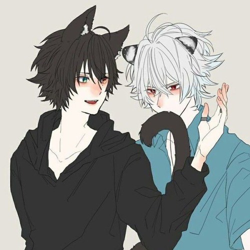 Mastering your catboy duo