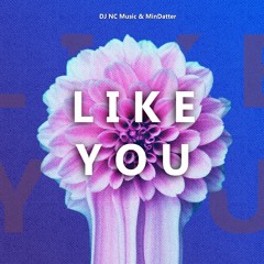 DJ NC & Mindatter - Like You