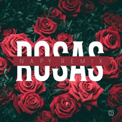 La Oreja De Van Gogh - Rosas (Napy Remix)
