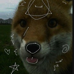 therian nostalgic🪶🦊