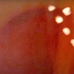 Raymond Yan x Sasha Morrisey - Losing Sight