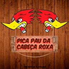 Pica Pau Da Cabeça Roxa - Tom Beat  V8 ( DJ Frajola )