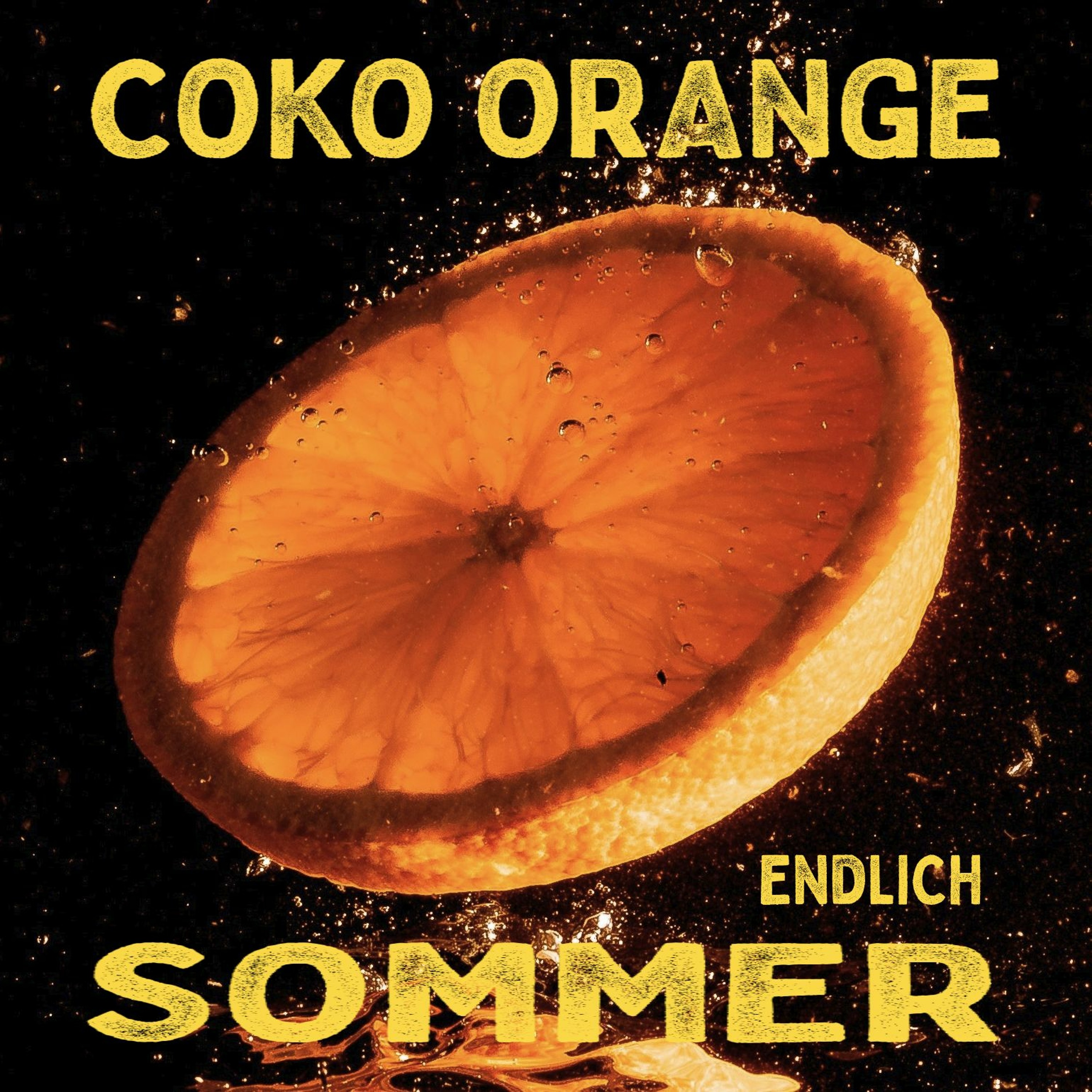 Sounds of Raymaster X