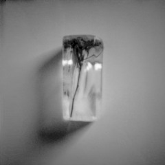 우리들의 아픔을 잃길 바랐는데 demo