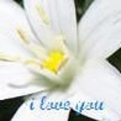 ✩₊˚.⋆☾⋆⁺₊✧  ✩₊˚.⋆☾⋆⁺₊✧