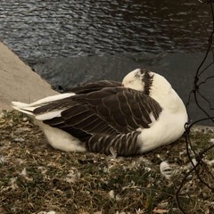 cruz al cementerio x kibbyTBU