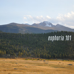 euphoria 101