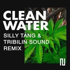 Silly Tang - Clean Water (Tribilin Sound Remix)