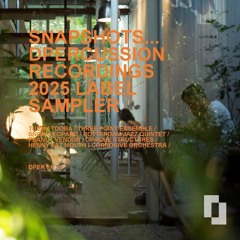 TUBBY TOOBA - ALL MUSIC IS JAZZ [snapshots 2025 label sampler]