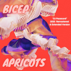 Bicep - Apricots (DJ Pacecord 2025 - Remastered & Extended Version)