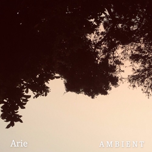 A M B I E N T